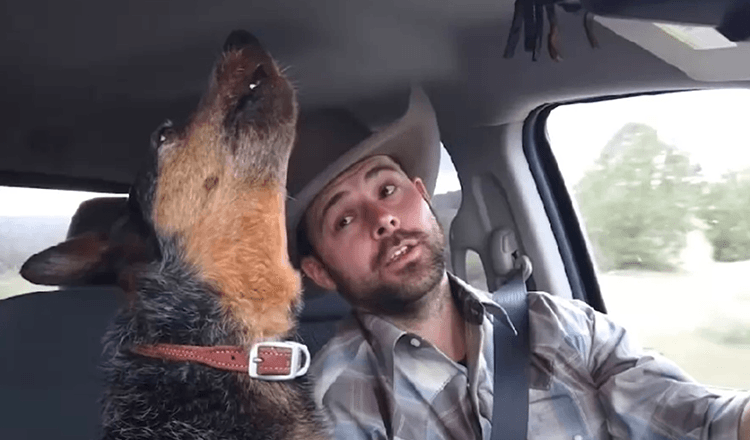 Perro canta dulce dúo con vaquero después de que suena su canción favorita